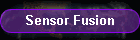 Sensor Fusion